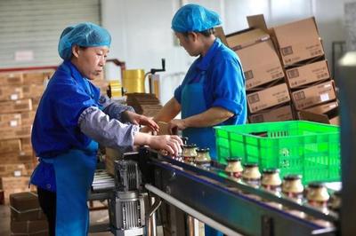 特色農(nóng)業(yè)提檔升級 萊蕪辣椒醬生產(chǎn)線助力品牌農(nóng)產(chǎn)品叫響世界